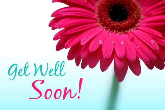 Get Well Soon Flower